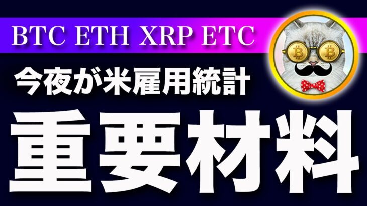 【今夜注目！】ビットコイン・雇用統計の注目ポイントと今後の相場観を解説！【仮想通貨・戦略を先出しで毎日更新】