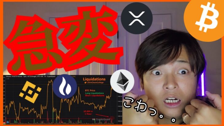 仮想通貨、急変に注意!! リップル勝訴は◯月