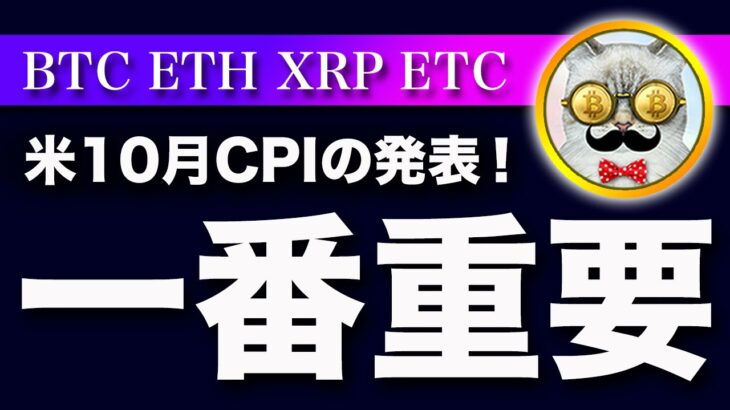 【今日がボトムか？】ビットコイン・最重要の米10月CPIの結果次第ではボトムの可能性を疑います！【仮想通貨・戦略を先出しで毎日更新】