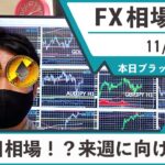11月25日 海外FX 億トレーダーHAYAの相場考察【本日ブラックフライデー！来週に向けた戦略など！】