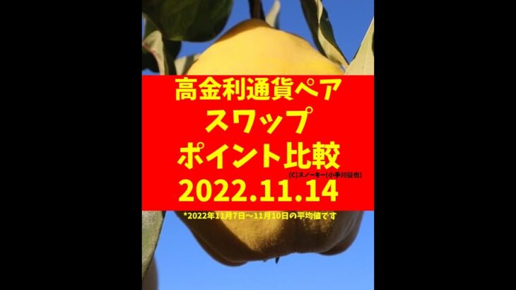 メキシコペソ円買いスワップ＋200円 FXトルコリラ円 メキシコペソ円 南アランド円 スワップポイント比較 2022年11月14日 #shorts