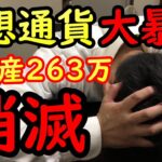 仮想通貨の大暴落で全財産消滅…。僕の263万円は今いくら？【資産公開】