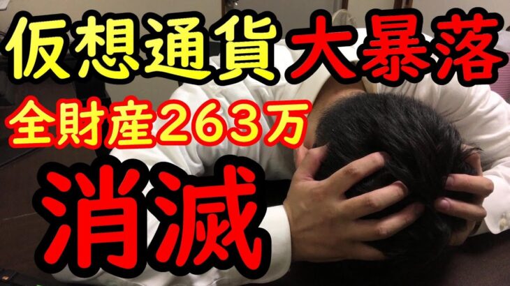 仮想通貨の大暴落で全財産消滅…。僕の263万円は今いくら？【資産公開】
