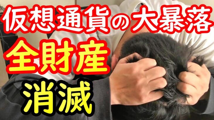 【資産公開】仮想通貨の大暴落で全財産263万円が消滅した今月【2022年11月】