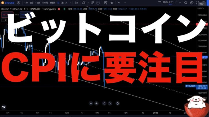 【仮想通貨 ビットコイン】重要指標で一気に下落ムードに歯止めをかけれるか要注目（朝活配信921日目 毎日相場をチェックするだけで勝率アップ）【暗号資産 Crypto】