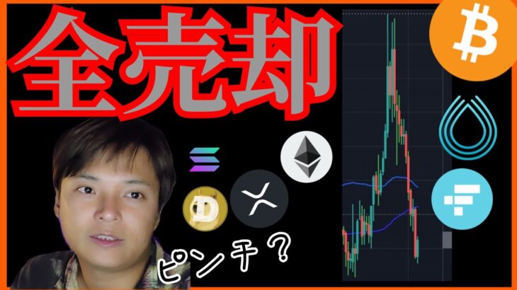 仮想通貨『全売却』報道でピンチ💀 ビットコイン ETH XRP SOL DOGE FTT SRM チャート分析