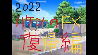 FX 11月7日　税金逃れ