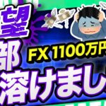 【FX 大損】大金を失いたくない人は必見！ロスカット相場を乗り越える無料 EAはあるのか？検証します【FX 自動売買 ツール】