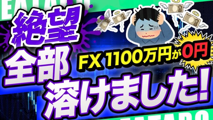 【FX 大損】大金を失いたくない人は必見！ロスカット相場を乗り越える無料 EAはあるのか？検証します【FX 自動売買 ツール】