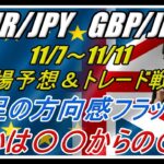 【FX】EUR/JPY GBP/JPY 11/7～11/11 相場予想＆トレード戦略（○○から○○を狙う）