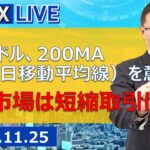 【SBI FX LIVE】ユーロドル、200MAを意識　米国市場は短縮取引に！