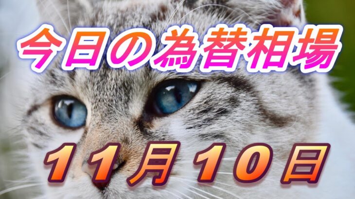【TAKA FX】ドル、円、ユーロ、ポンド、豪ドルの為替相場の前日の動きをチャートから解説。11月10日