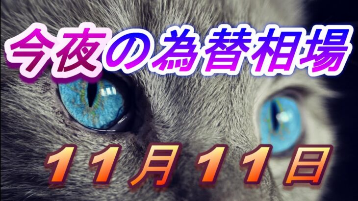 【TAKA FX】ドル、円、ユーロ、ポンド、豪ドルの為替相場の前日の動きをチャートから解説。11月11日