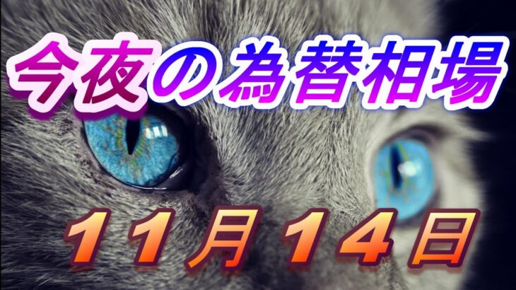 【TAKA FX】ドル、円、ユーロ、ポンド、豪ドルの為替相場の前日の動きをチャートから解説。11月14日