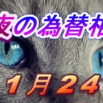 【TAKA FX】ドル、円、ユーロ、ポンド、豪ドルの為替相場の前日の動きをチャートから解説。11月24日