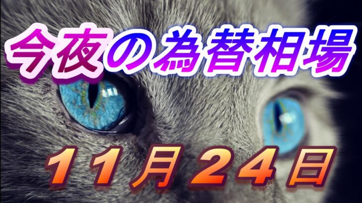 【TAKA FX】ドル、円、ユーロ、ポンド、豪ドルの為替相場の前日の動きをチャートから解説。11月24日