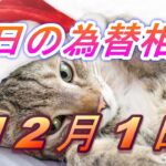 【TAKA FX】ドル、円、ユーロ、ポンド、豪ドルの為替相場の前日の動きをチャートから解説。11月30日