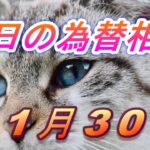 【TAKA FX】ドル、円、ユーロ、ポンド、豪ドルの為替相場の前日の動きをチャートから解説。11月30日