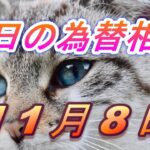 【TAKA FX】ドル、円、ユーロ、ポンド、豪ドルの為替相場の前日の動きをチャートから解説。11月8日
