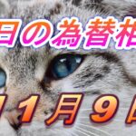 【TAKA FX】ドル、円、ユーロ、ポンド、豪ドルの為替相場の前日の動きをチャートから解説。11月9日
