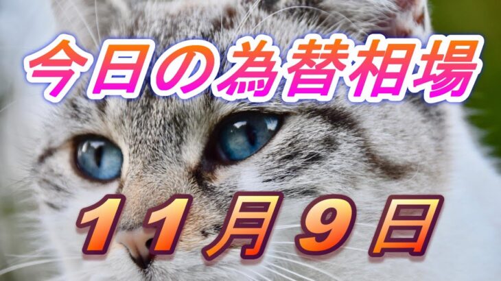 【TAKA FX】ドル、円、ユーロ、ポンド、豪ドルの為替相場の前日の動きをチャートから解説。11月9日