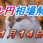 【TAKA FX】ドル円為替相場の今週の動きと来週の展望をチャートから解説。日経平均、NYダウ、金チャートも。11月14日～