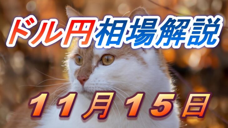 【TAKA FX】ドル円為替相場の前日の動きをチャートから解説。日経平均、NYダウ、金チャートも。11月15日