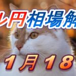 【TAKA FX】ドル円為替相場の前日の動きをチャートから解説。日経平均、NYダウ、金チャートも。11月18日