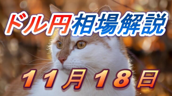 【TAKA FX】ドル円為替相場の前日の動きをチャートから解説。日経平均、NYダウ、金チャートも。11月18日