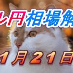 【TAKA FX】ドル円為替相場の今週の動きと来週の展望をチャートから解説。日経平均、NYダウ、金チャートも。11月21日～