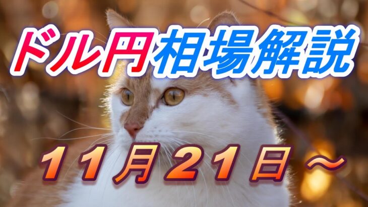 【TAKA FX】ドル円為替相場の今週の動きと来週の展望をチャートから解説。日経平均、NYダウ、金チャートも。11月21日～