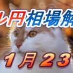 【TAKA FX】ドル円為替相場の前日の動きをチャートから解説。日経平均、NYダウ、金チャートも。11月23日