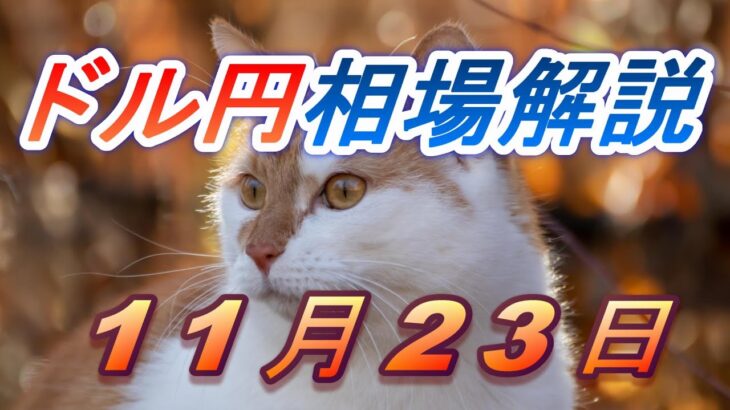【TAKA FX】ドル円為替相場の前日の動きをチャートから解説。日経平均、NYダウ、金チャートも。11月23日
