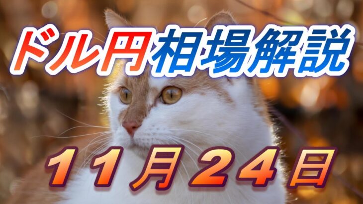 【TAKA FX】ドル円為替相場の前日の動きをチャートから解説。日経平均、NYダウ、金チャートも。11月24日