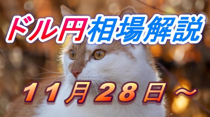 【TAKA FX】ドル円為替相場の今週の動きと来週の展望をチャートから解説。日経平均、NYダウ、金チャートも。11月28日～