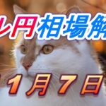 【TAKA FX】ドル円為替相場の今週の動きと来週の展望をチャートから解説。日経平均、NYダウ、金チャートも。11月7日～