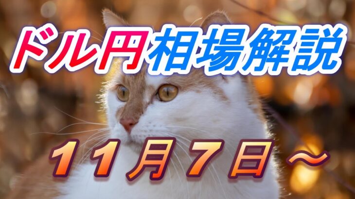 【TAKA FX】ドル円為替相場の今週の動きと来週の展望をチャートから解説。日経平均、NYダウ、金チャートも。11月7日～