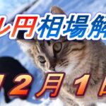 【TAKA FX】ドル円為替相場の前日の動きをチャートから解説。日経平均、NYダウ、金チャートも。12月1日