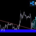 この反発の解釈【XRP リップル】