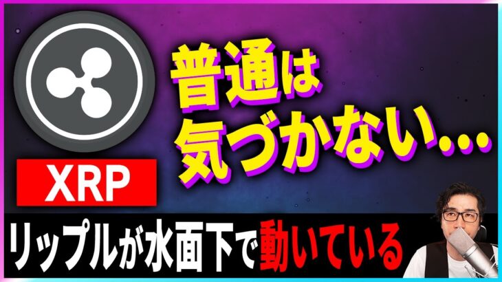 【暗号資産XRP】リップル裁判は有利すぎる状況！【仮想通貨】【暗号通貨】【投資】【副業】【初心者】