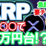 仮想通貨 (XRP) ニュース  １２月に○○でXRP (リップル) が爆上げの可能性！  リップル社(XRP)とは？を徹底解説！将来のXRP価格予想も！