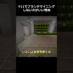 【マイクラ1.19】ブランチマイニングはY11では絶対にしない方がいい理由［ゆっくり実況］