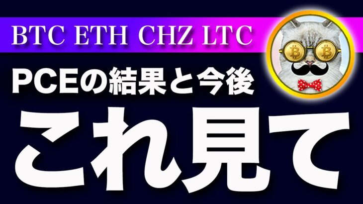 【ここ見て！】ビットコイン・11月PCEの結果と数値から考える今後の相場【仮想通貨・戦略を先出しで毎日更新】