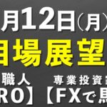 12月12日(月)からの相場展望　#株初心者 #fx初心者 #投資顧問　2022/12/10