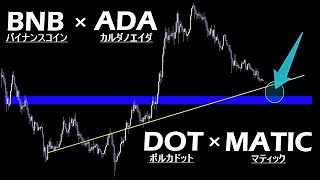 1段下で現物買いを検討するならこの2つ【BNB × ADA × DOT × MATIC】