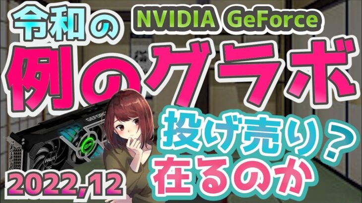 【グラボ価格どうなった？】 令和の例のグラボは誕生しているのか？ 2022 12月 【gpu】