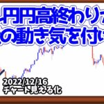 日刊チャート見える化2022/12/16(ドル円、ポンド円、ユーロドル、ポンドドル、ゴールド等)【FX見える化labo】