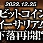 ビットコイン・イーサリアム下落再開！？［2022/12/25］【仮想通貨・BTC・ETH・FX】※2倍速推奨