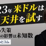2023年ドル円予想「米ドルは戻り天井を試す。148円も」FXストラテジスト 川合 美智子氏
