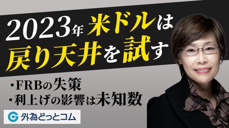 2023年ドル円予想「米ドルは戻り天井を試す。148円も」FXストラテジスト 川合 美智子氏